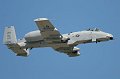 IMG_1732