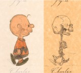 Charlie Brown skeletal system