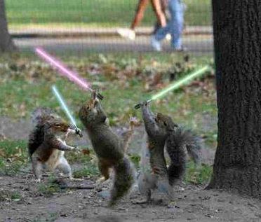 squirrels with lightsabers