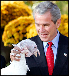 W chokin' the turkey...